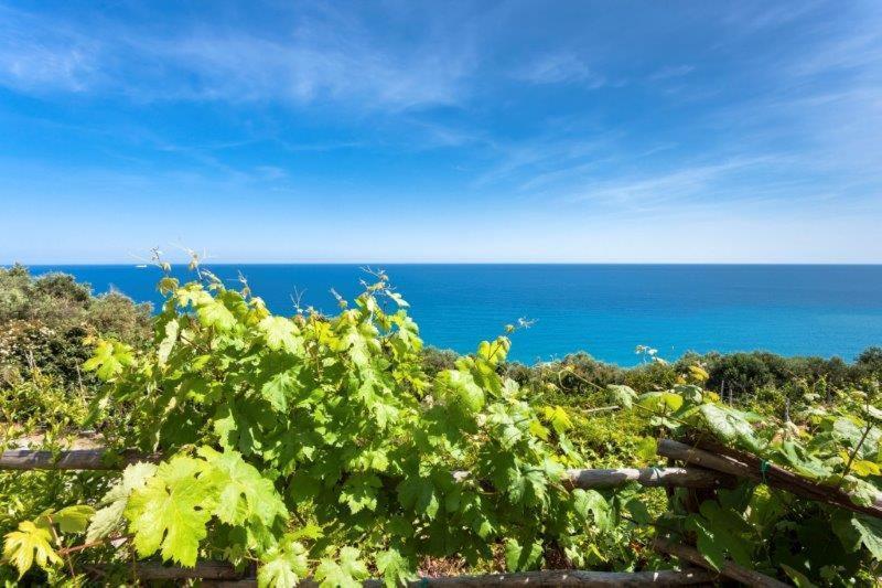 Agriturismo La Selva Hotel Finale Ligure Luaran gambar
