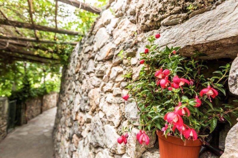 Agriturismo La Selva Hotel Finale Ligure Luaran gambar