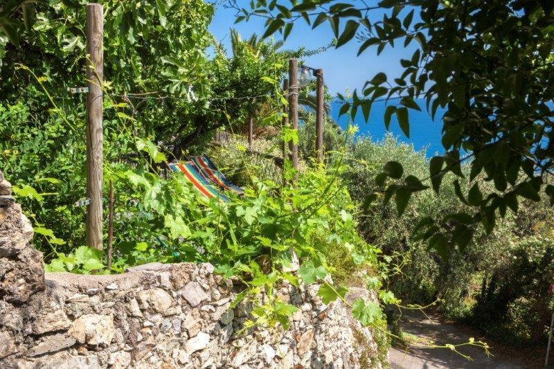 Agriturismo La Selva Hotel Finale Ligure Luaran gambar