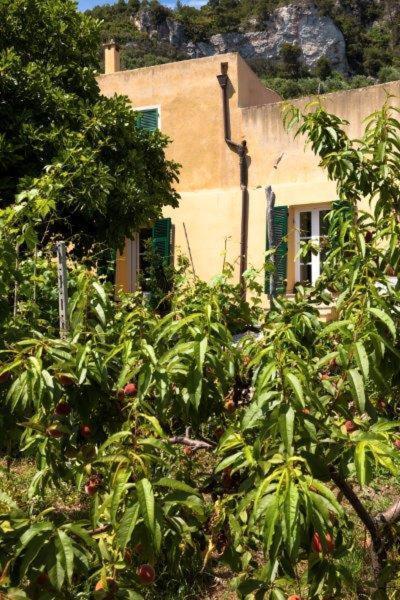 Agriturismo La Selva Hotel Finale Ligure Luaran gambar