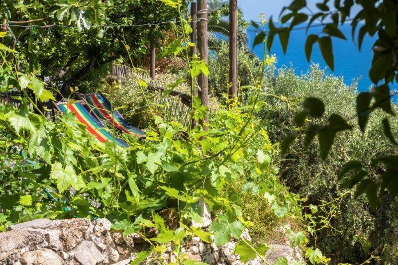 Agriturismo La Selva Hotel Finale Ligure Luaran gambar
