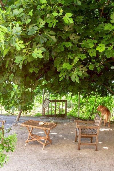 Agriturismo La Selva Hotel Finale Ligure Luaran gambar